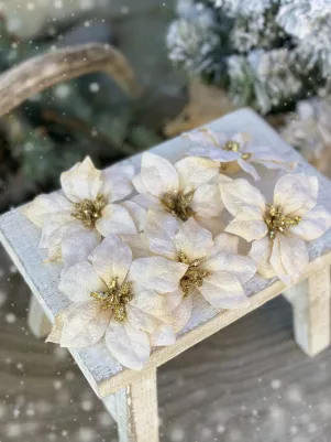 Vianočná ruža bez štipca zamatová, 9 cm, 6 ks, Ivory 