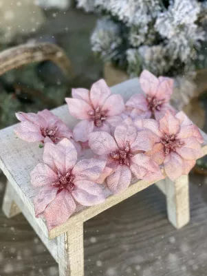 Vianočná ruža bez štipca zamatová, 9 cm, 6 ks, Ružová 