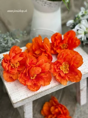 Divý mak hlavička (cena za 1 ks) jemná, plochá, 8 cm, oranžová 